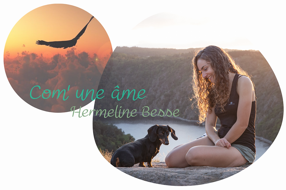 Design sans titre (3).png