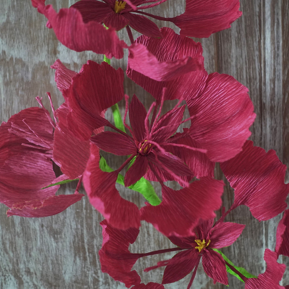 Miniature : fleurs de flamboyant rouge en papier crépon en gros plan 