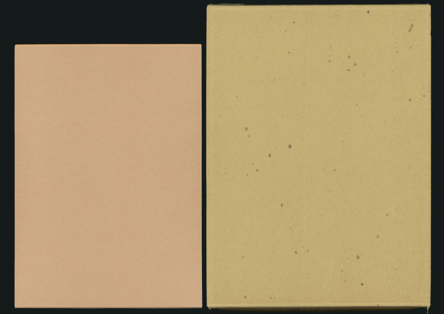 画文集 原野から見た山