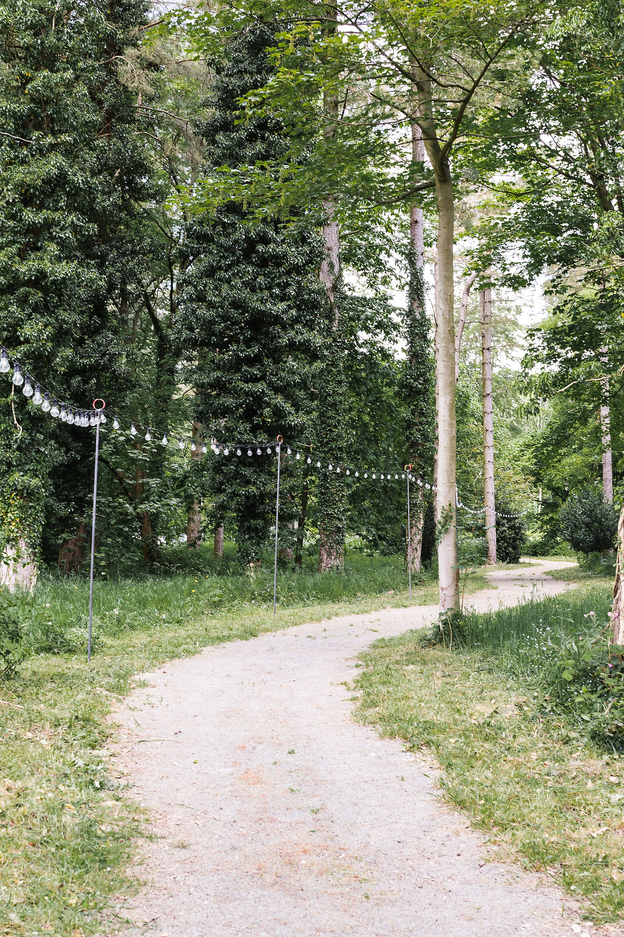 Tree lined pathway lit by festoon lights at Stourton Estates in Lincolnshire