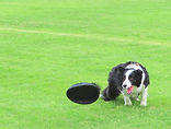 IMG_2529.JPG