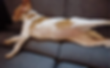 received_1123181591804339_edited.png