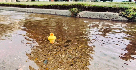 Duck Dash for Hope 2023