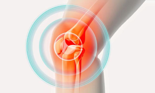 Cấu trúc đầu gối và vùng bánh chè thường chịu lực khi chạy bộ, dễ dẫn đến tổn thương sụn nếu vận động không hợp lý.