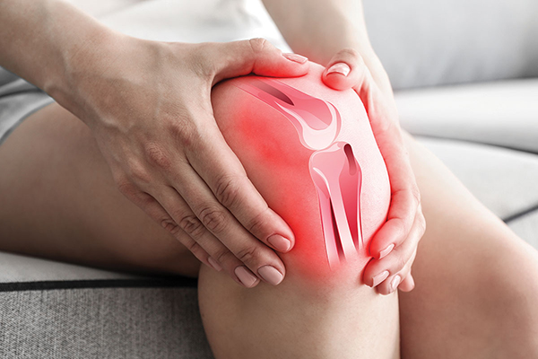Viêm gân bánh chè là một trong những nguyên nhân phổ biến gây đau đầu gối ở người chơi cầu lông thường xuyên.