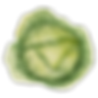 Iceberg Lettuce