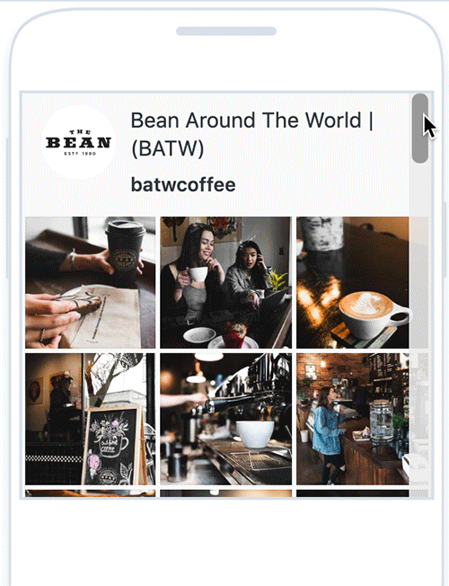 Bean Around The World Feed