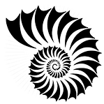 Image 22_edited_edited.png