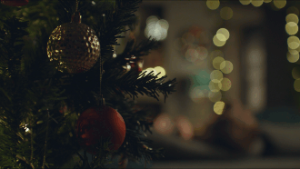 Wrapping GIF.gif