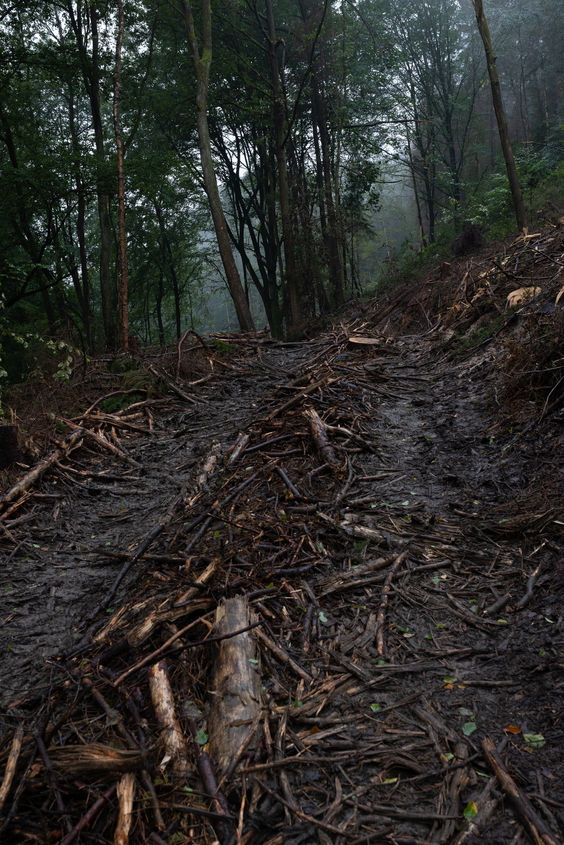 Karl und Casper-5578_Lukas Höhler.jpg