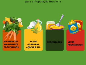 Classificação dos alimentos