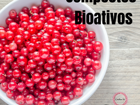 O que são compostos Bioativos ?
