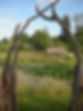 dscn3677.jpg