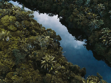 ERA & Carbon Streaming Announce a Streaming Agreement to Protect the Cerrado