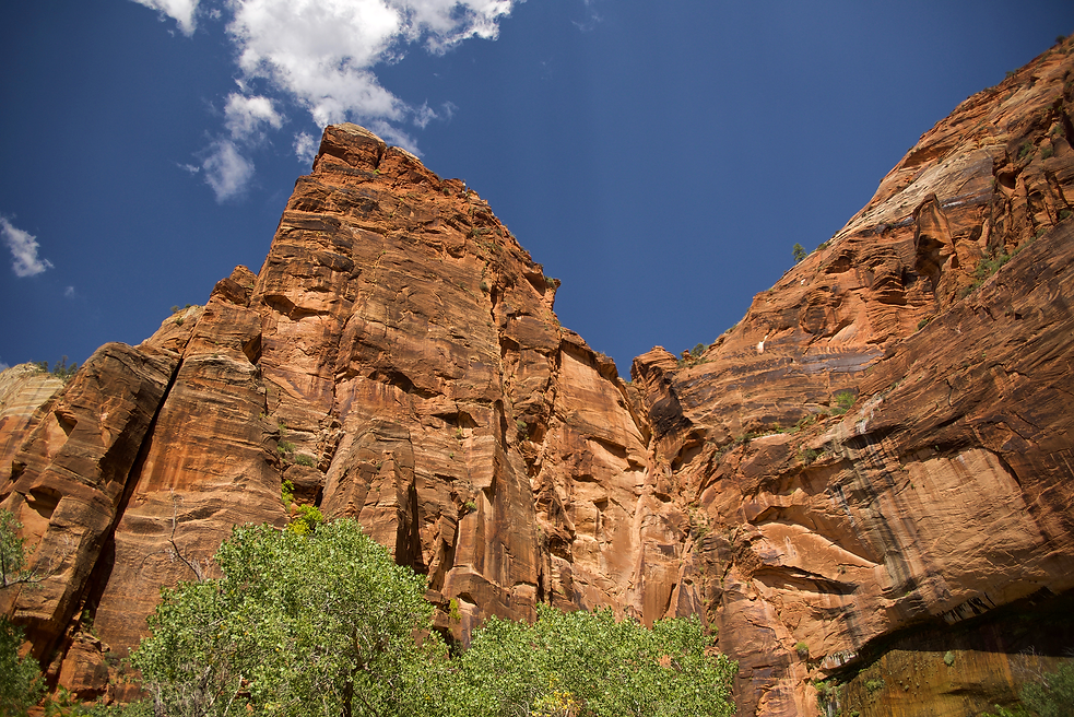 ZION National Park UTAH.png