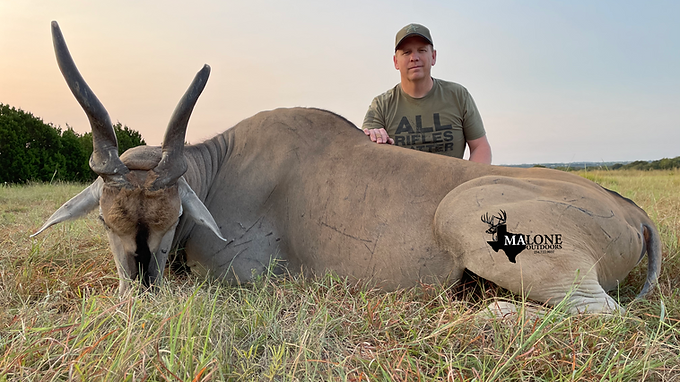Eland