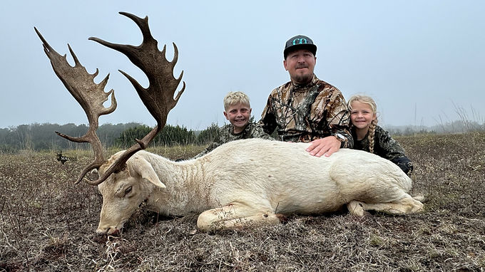 White Fallow