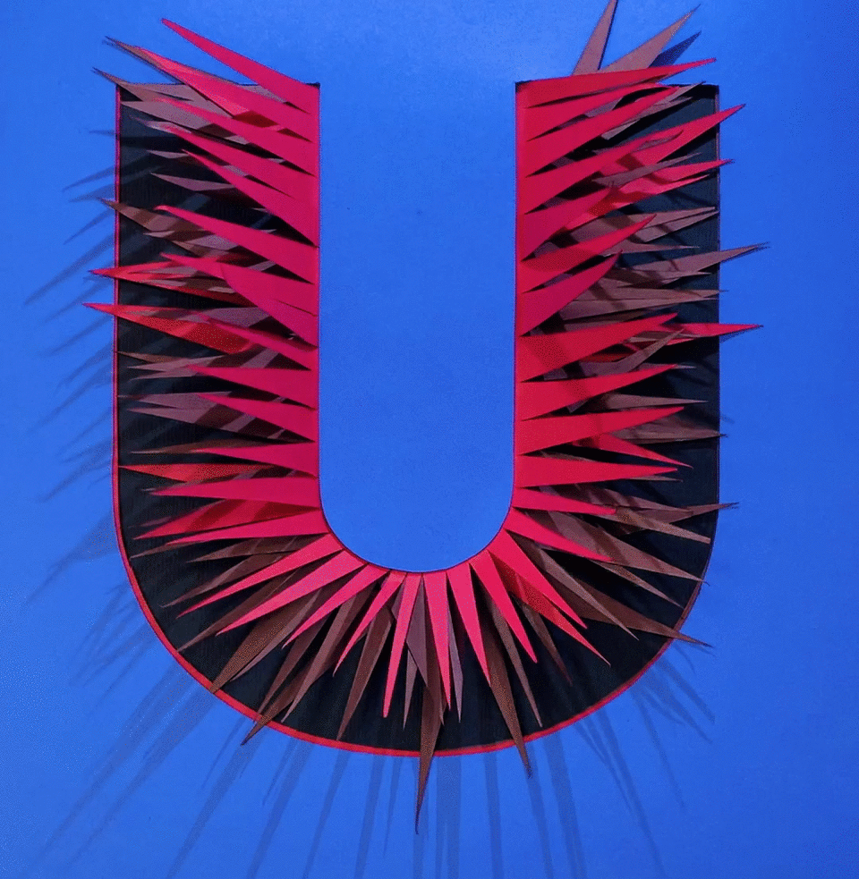 IMG_1304.TRIM 2 (2).gif