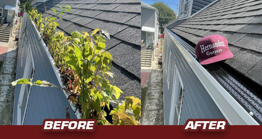 gutter-cleaning.jpg