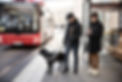 Two visually impaired people at a bus station. Both have a white cane and one has a black labrador guide dog. The bus is just arriving.