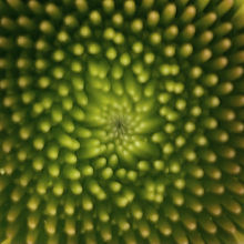 IMG_0158 3_edited.jpg