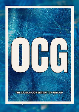 Disability Day Poster 11 (12).jpg