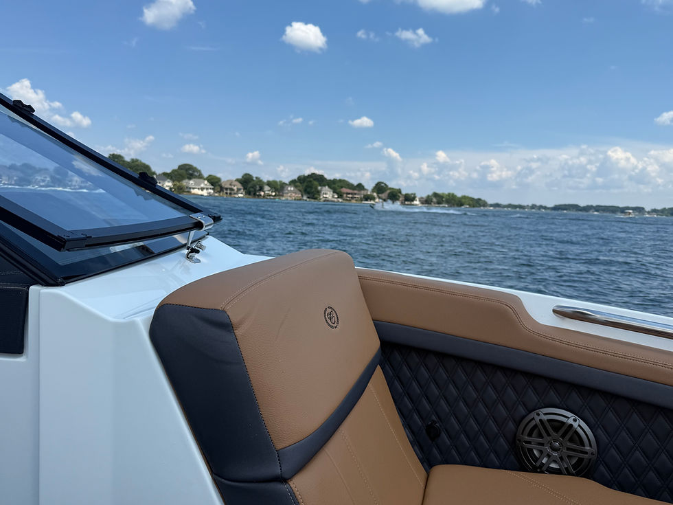 Soapy's boat detailing