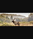 Screenshot_20220916-185424_Chrome.jpg