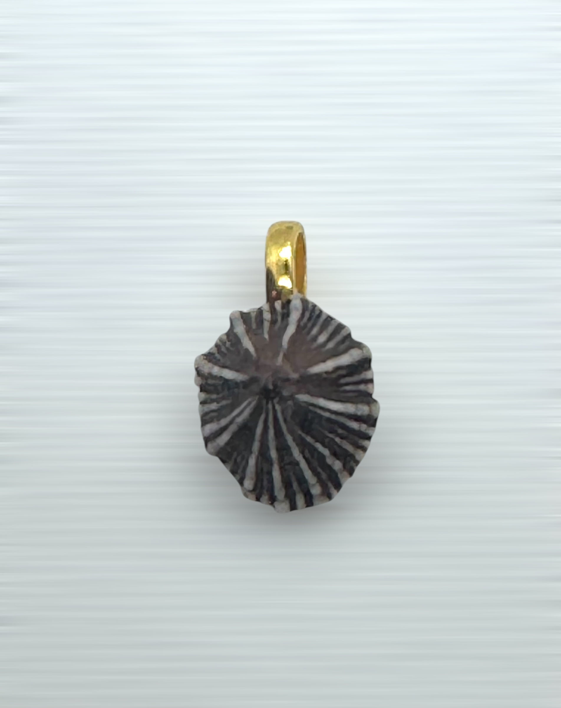 'Opihi Awa Single Pendants