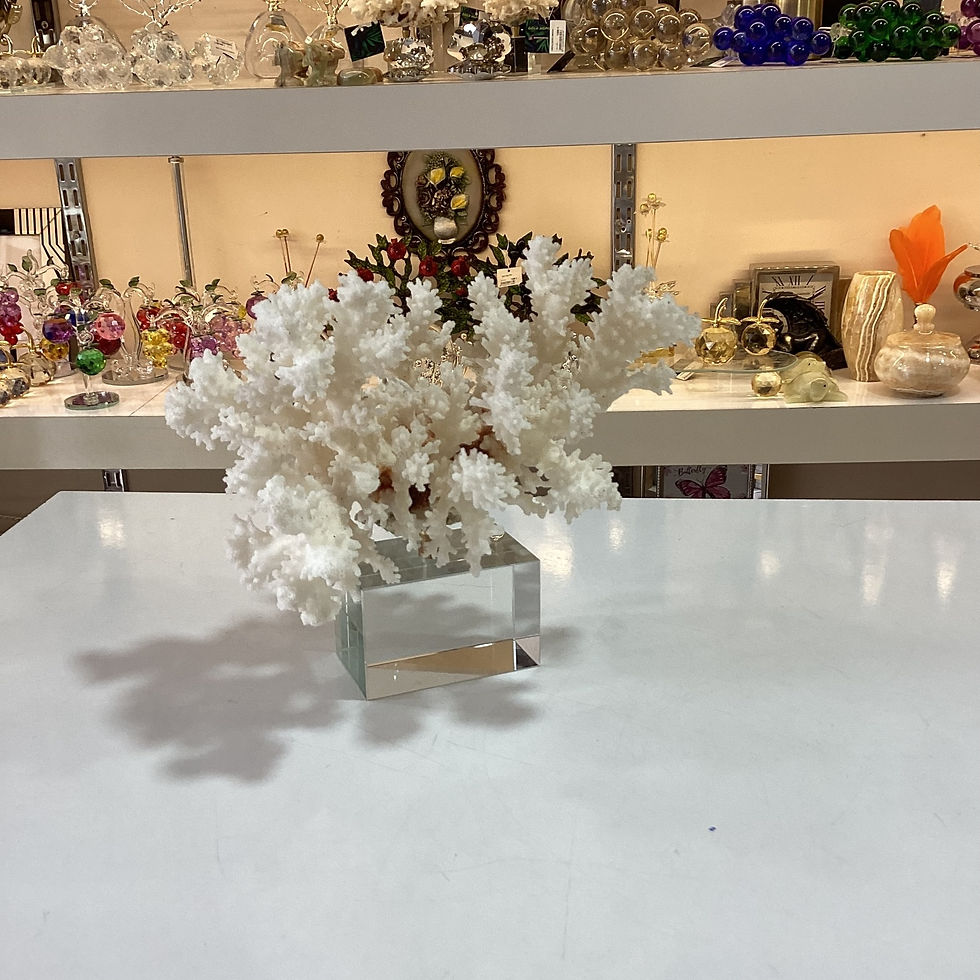 Küçük resim: Kristal Kaideli Doğal Mercan