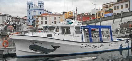 cabin cruiser | oceanemotion