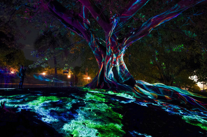 Vivid Sydney 2016 Part 1: Garden of Light