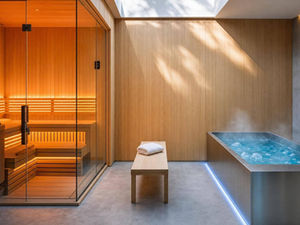 Infrared Sauna vs. Cold Plunge for Inflammation