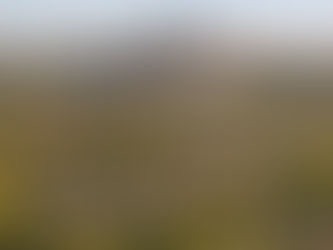 Saint Louis Neighborhood Price Comparison