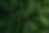 2483503.png