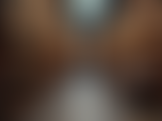 Learning Growth Lessons from History