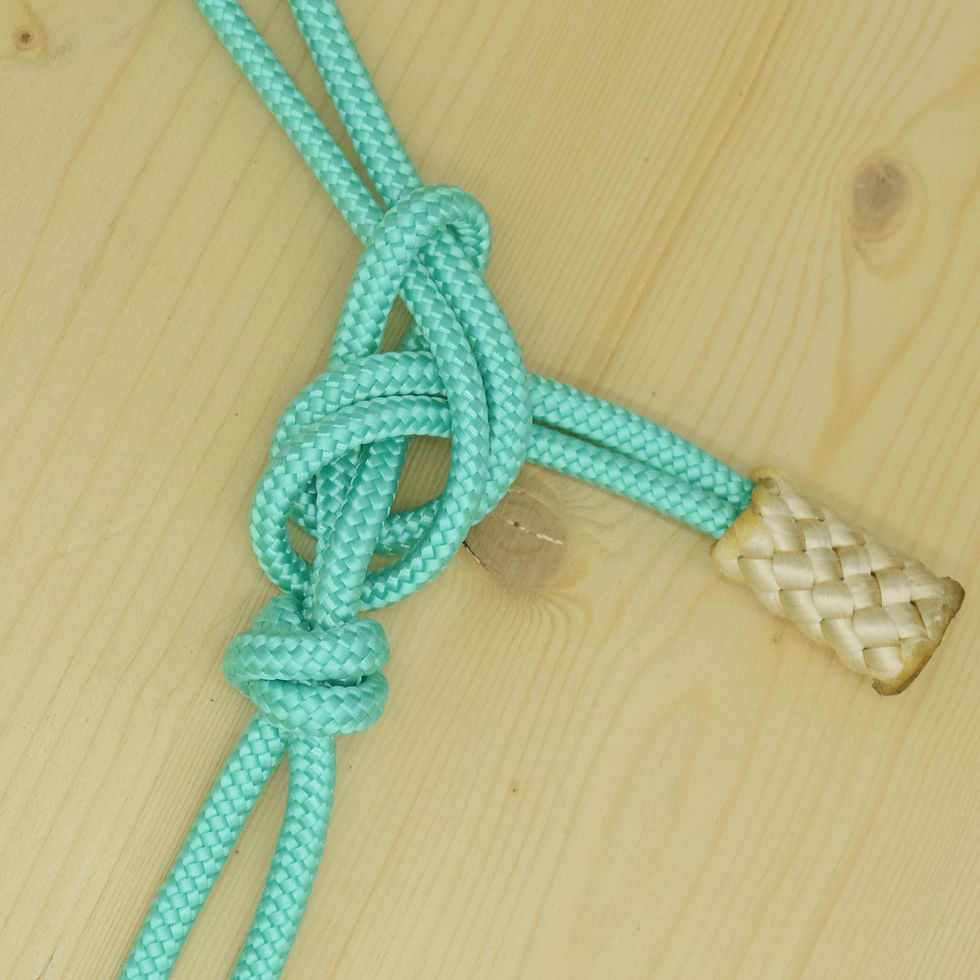 Miniature : Tressage Bout de Licol