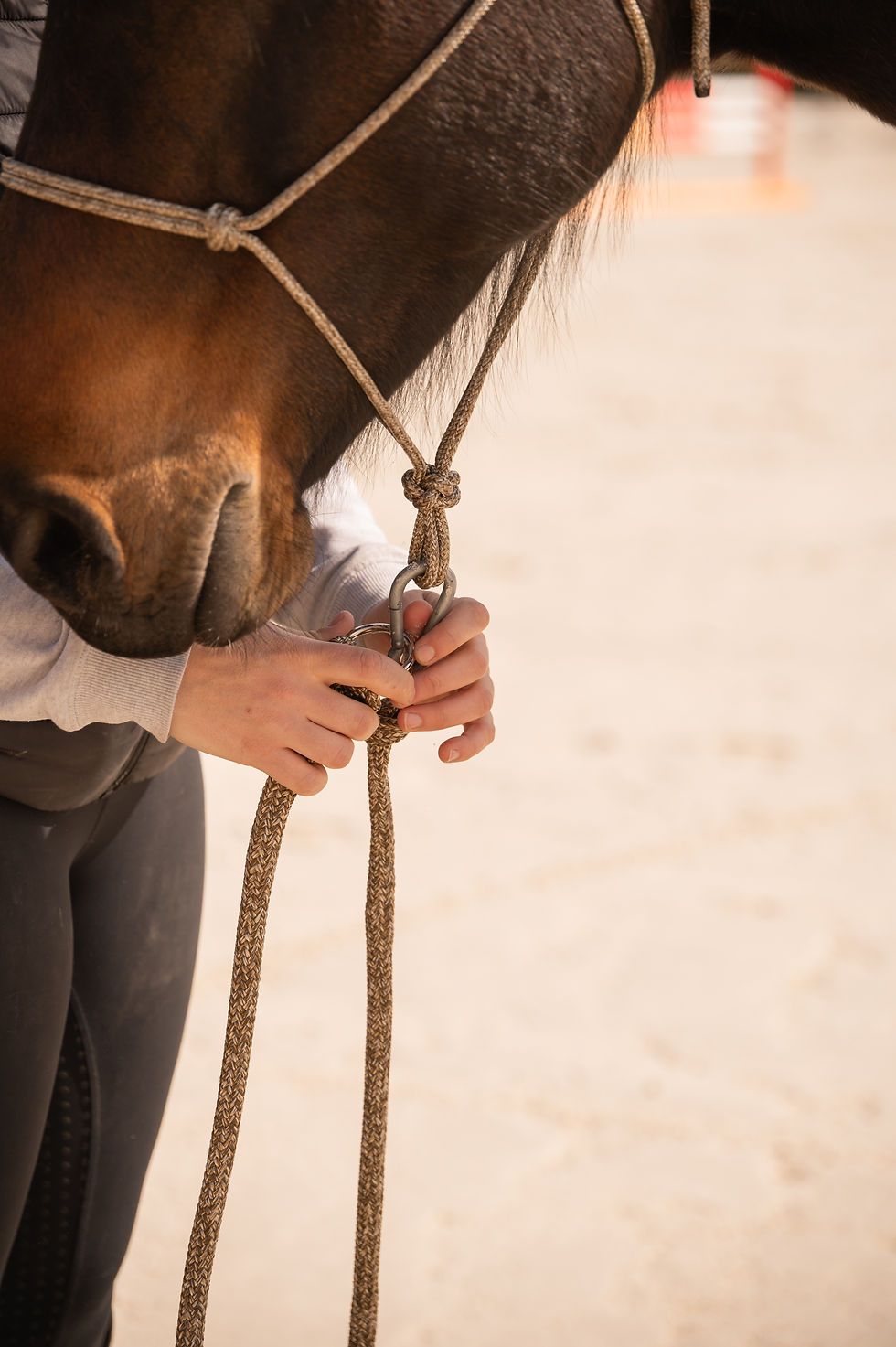 Miniature : Longe Equi'Tact 7m