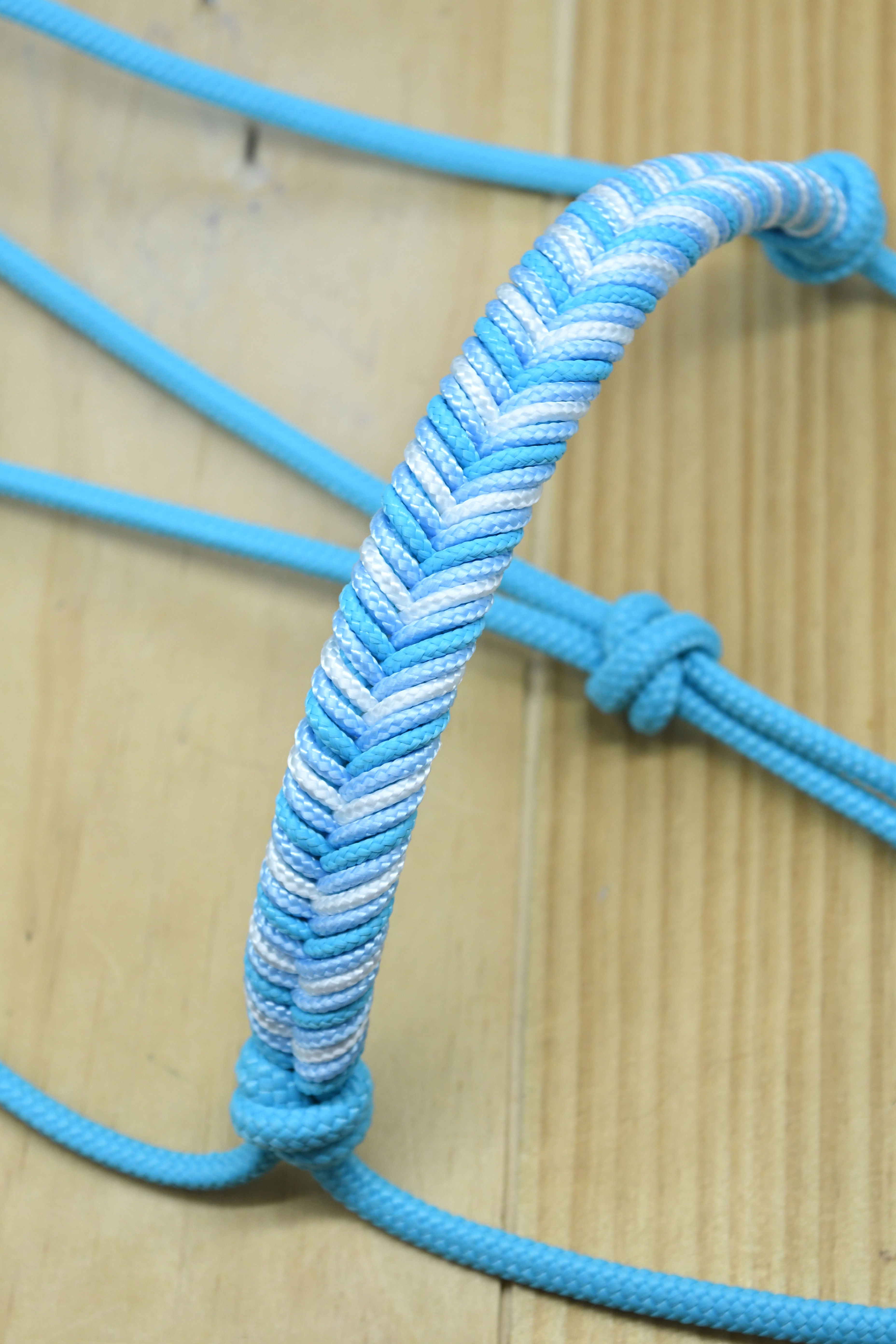 Licol Telling turquoise / bleu pastel / blanc