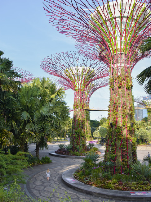 Vrouw dat tussen de hoge bomen van Gardens by the bay wandelt