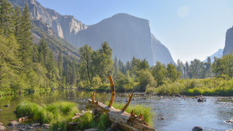 Tips Yosemite National Park