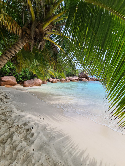 Wit strand met blauw water en veel palmbomen