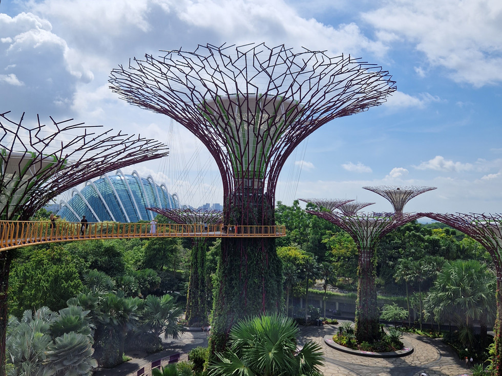 Gardens by the Bay in Singapore met uitzicht op de supertrees en cloud forest