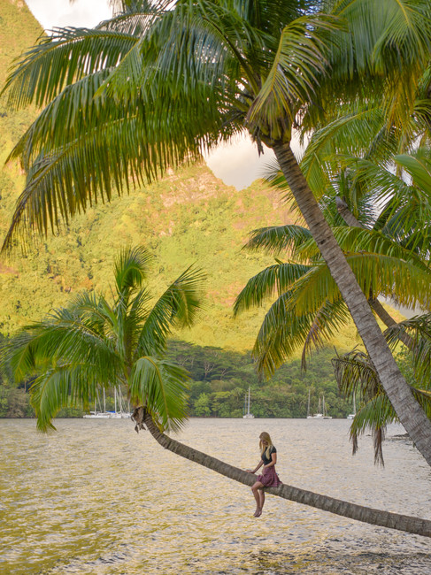 Girl sitting on a palm tree
