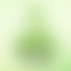 1pMobile