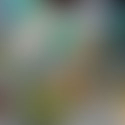 Festa de Aniversário