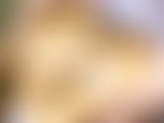 Ideias de Porta-Alianças para um Casamento Inesquecível