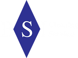 BSI Logo-white.png