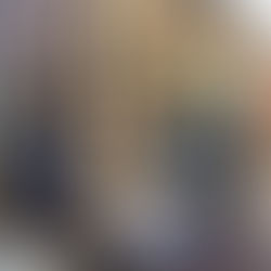 Special Envoy of Banking and Financial Investment Development in Gambia