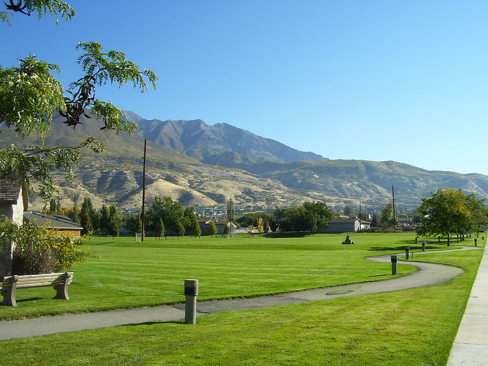 Pioneer Park Field